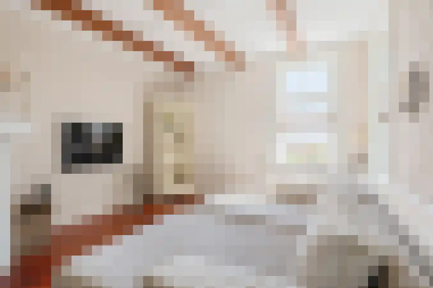 Hoofdweg 180 Bellingwolde thumbnail 24