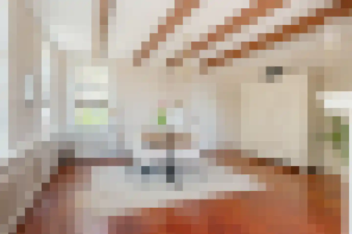 Hoofdweg 180 Bellingwolde thumbnail 27