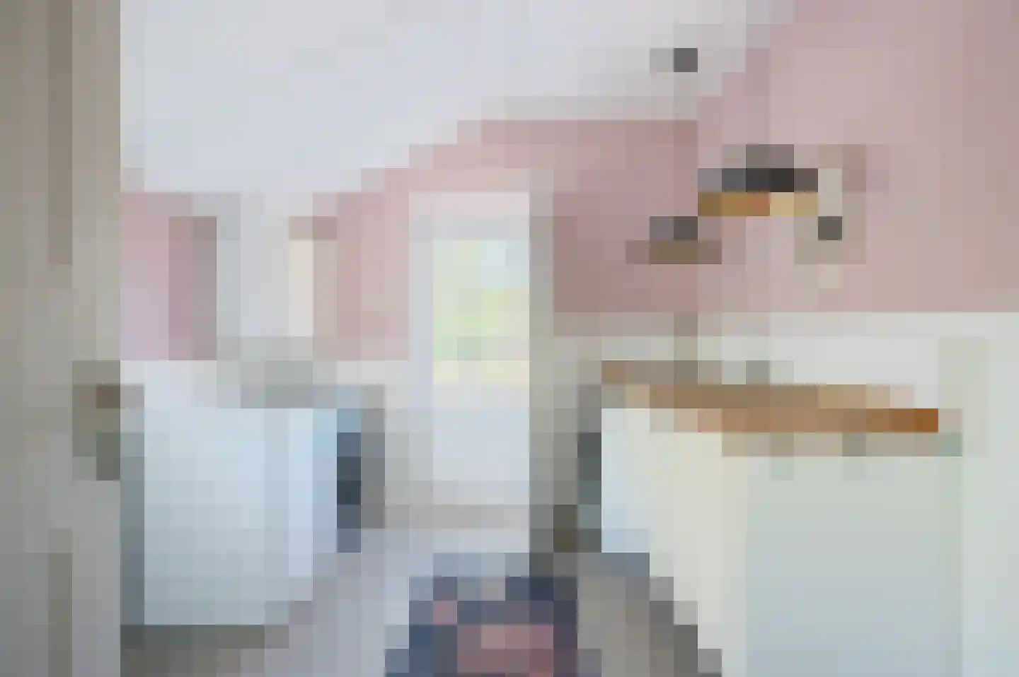 Hoofdweg 180 Bellingwolde thumbnail 32