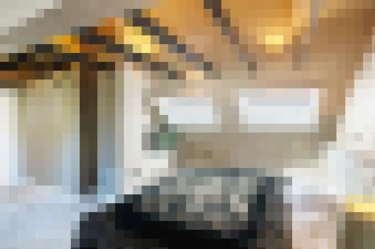 Hoofdweg 180 Bellingwolde thumbnail 49