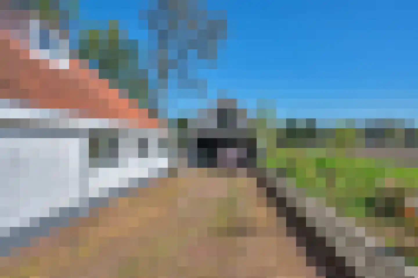 Hoofdweg 180 Bellingwolde thumbnail 60