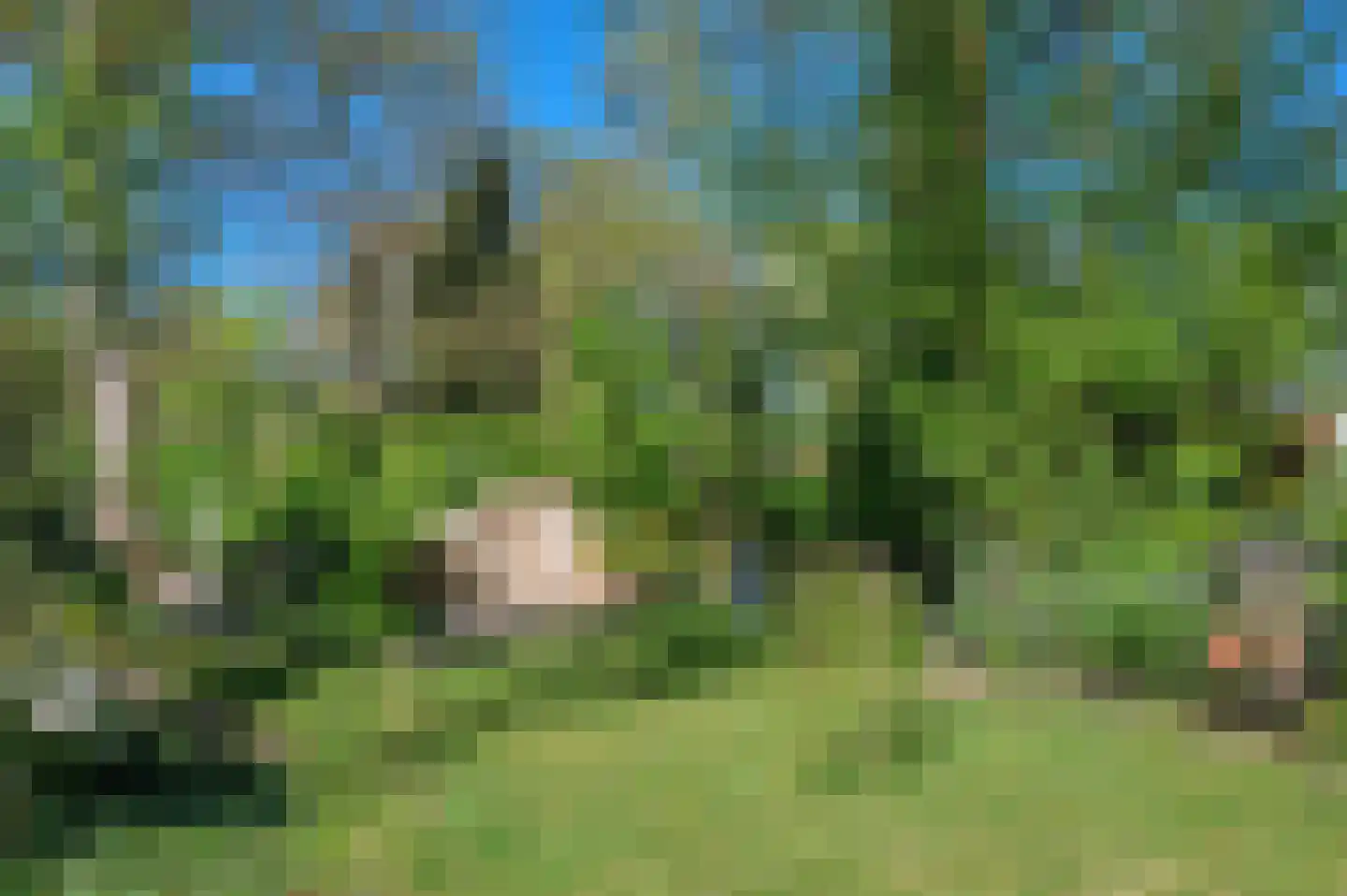 Hoofdweg 180 Bellingwolde thumbnail 64