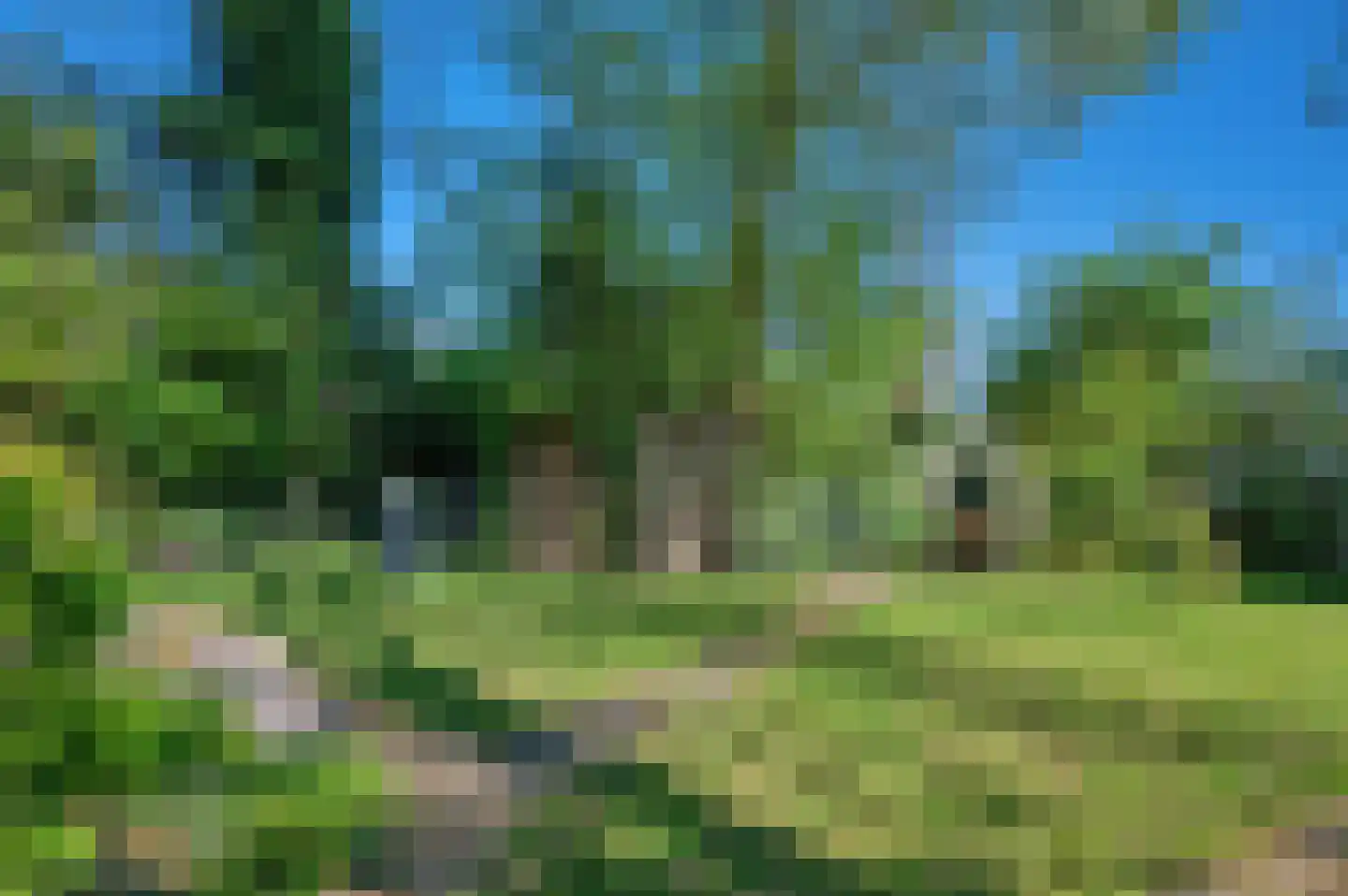 Hoofdweg 180 Bellingwolde thumbnail 65