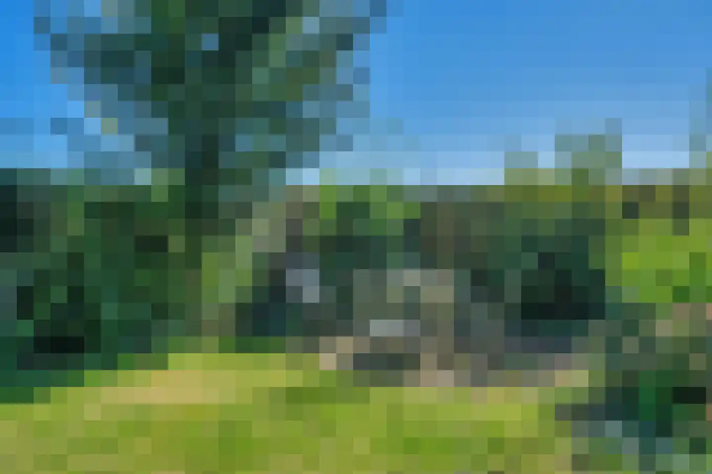 Hoofdweg 180 Bellingwolde thumbnail 66