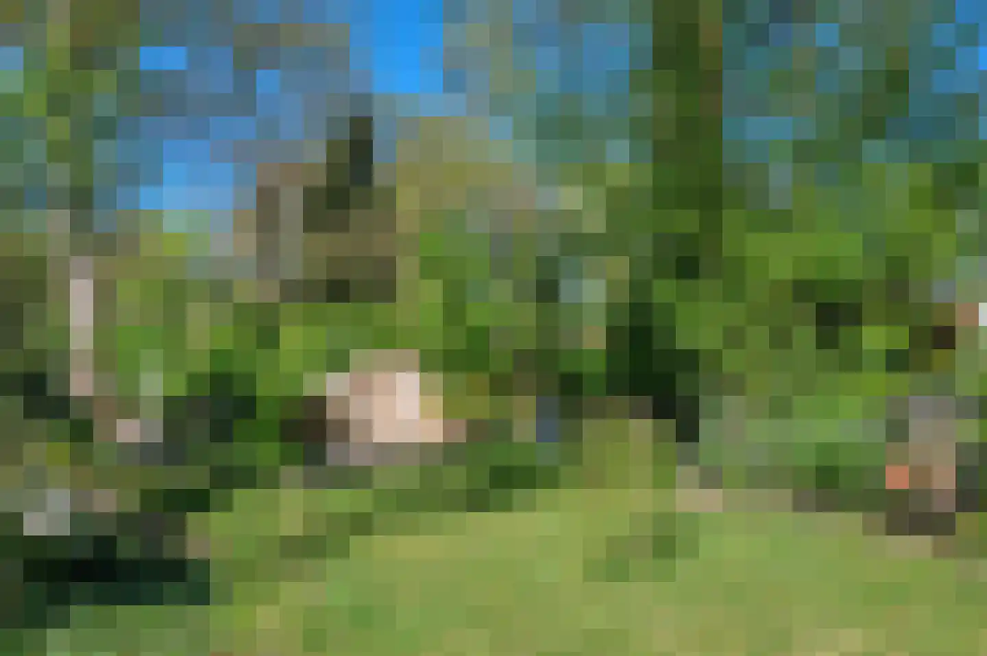 Hoofdweg 180 Bellingwolde thumbnail 66