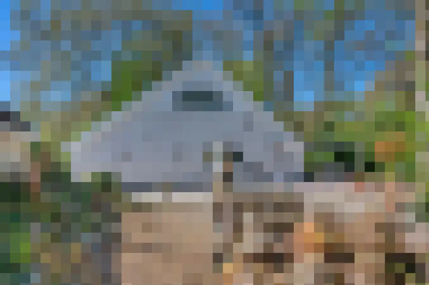 Hoofdweg 180 Bellingwolde thumbnail 69