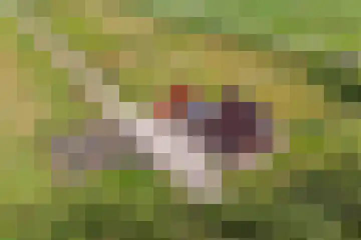 Hoofdweg 181 Harkstede GN thumbnail 47