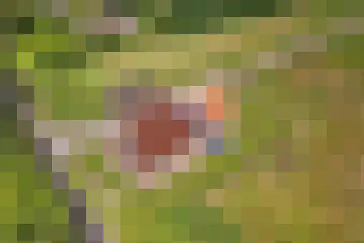 Hoofdweg 181 Harkstede GN thumbnail 48