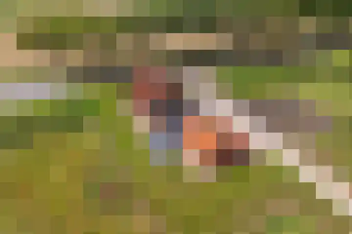Hoofdweg 181 Harkstede GN thumbnail 49