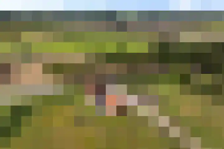 Hoofdweg 181 Harkstede GN thumbnail 50