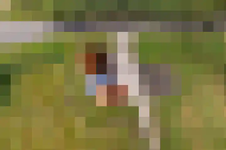 Hoofdweg 181 Harkstede GN thumbnail 51