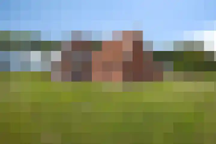 Hoofdweg 181 Harkstede GN thumbnail 9