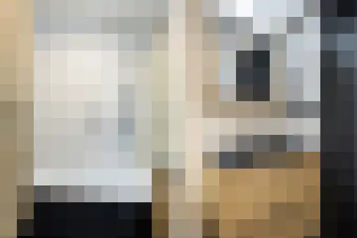Hoofdweg 186 Ederveen thumbnail 16
