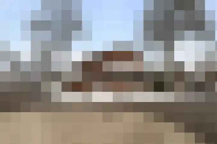 Hoofdweg 186 Ederveen thumbnail 36