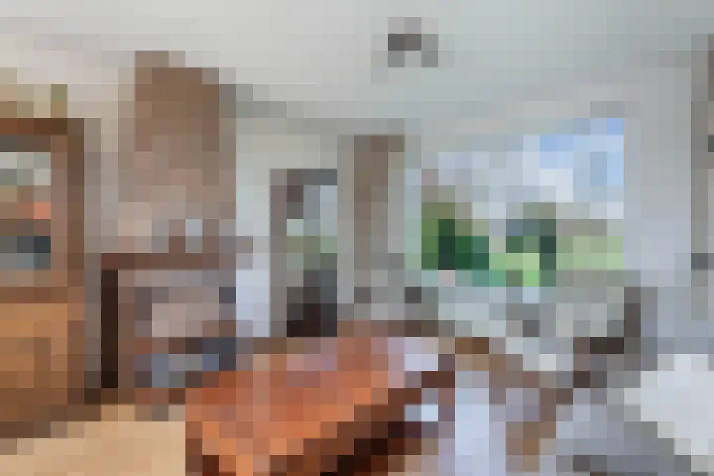 Hoofdweg 188 Oldeholtpade thumbnail 14