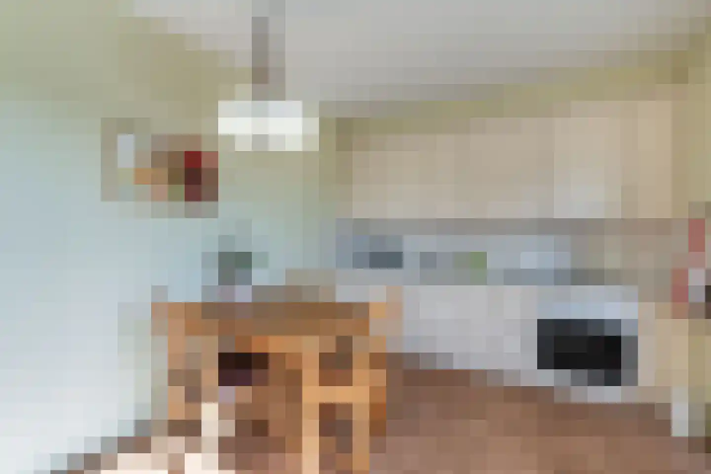 Hoofdweg 188 Oldeholtpade thumbnail 20
