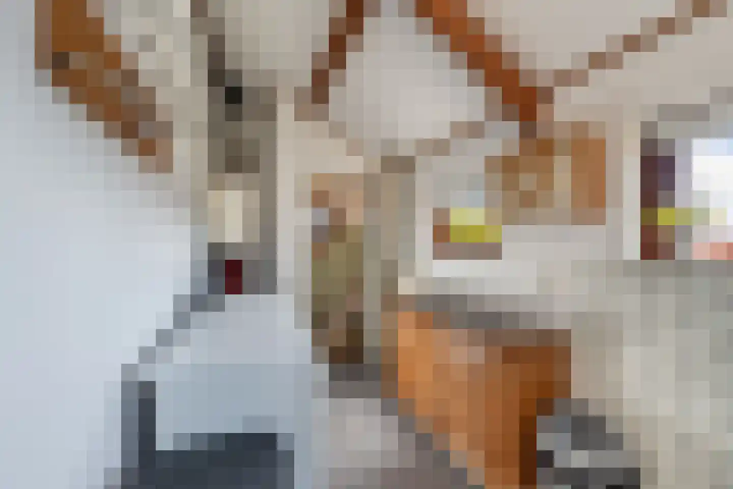Hoofdweg 188 Oldeholtpade thumbnail 23