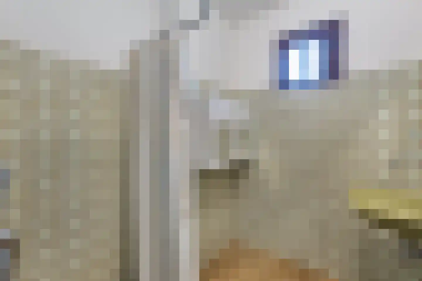Hoofdweg 188 Oldeholtpade thumbnail 26