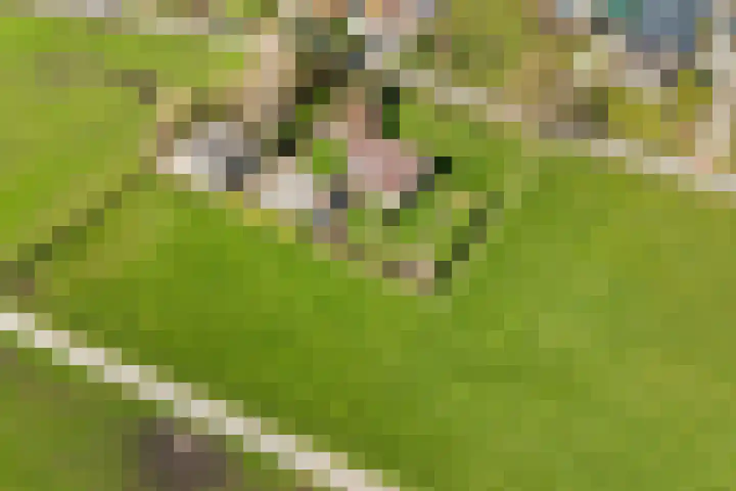 Hoofdweg 188 Oldeholtpade thumbnail 41