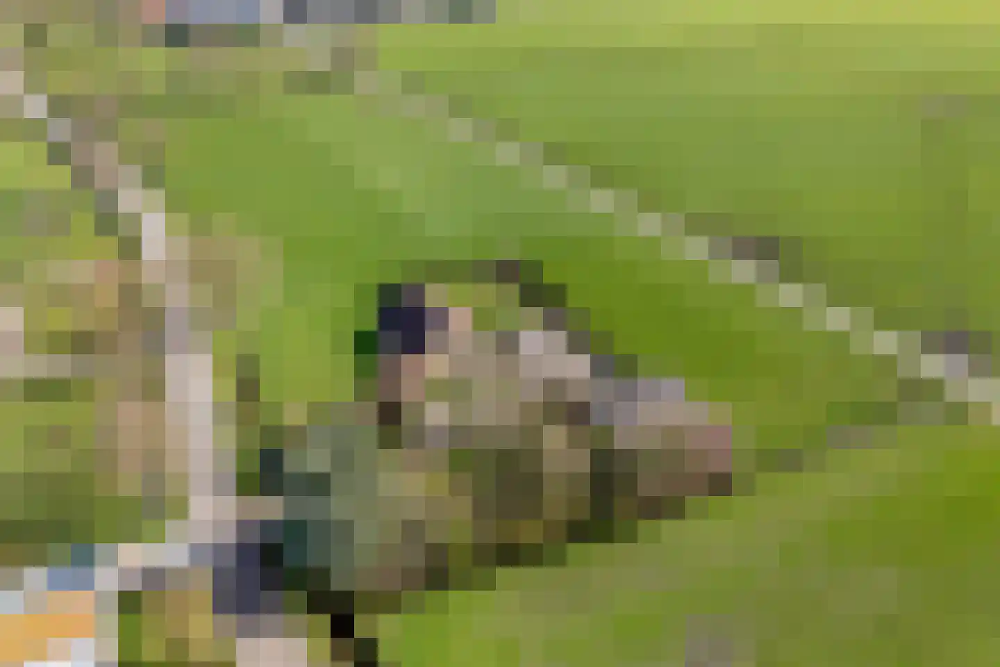 Hoofdweg 188 Oldeholtpade thumbnail 43