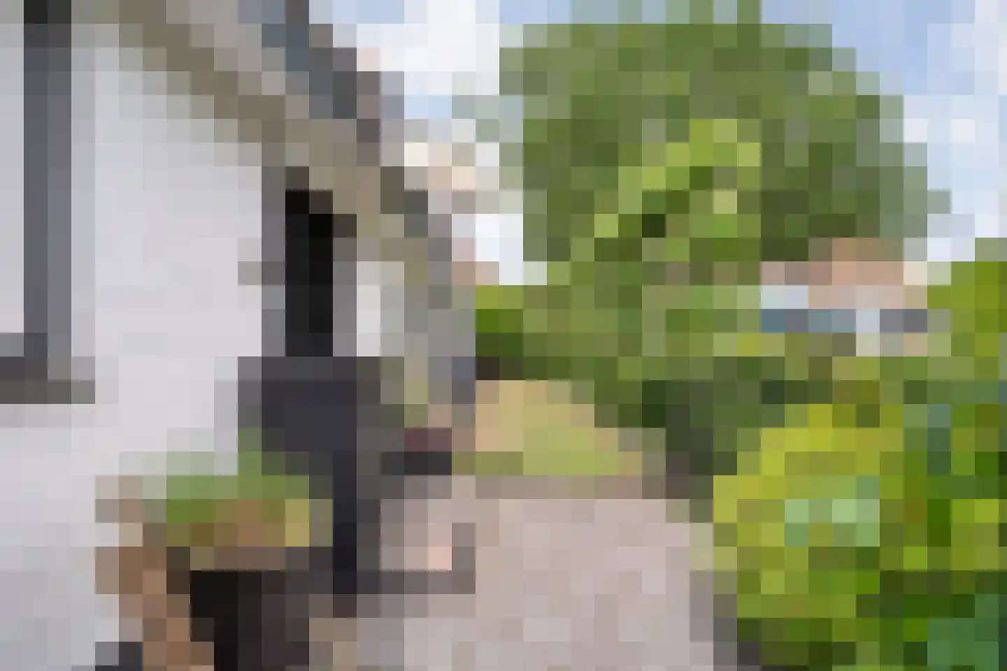 Hoofdweg 19 Coevorden thumbnail 7