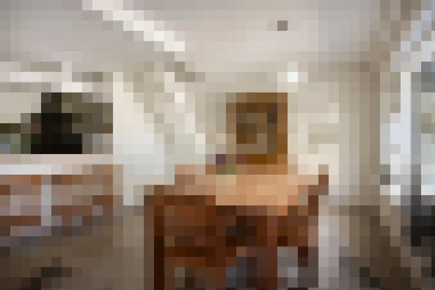 Hoofdweg 19 Elsloo thumbnail 15