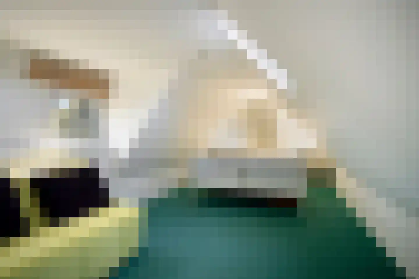 Hoofdweg 19 Elsloo thumbnail 23