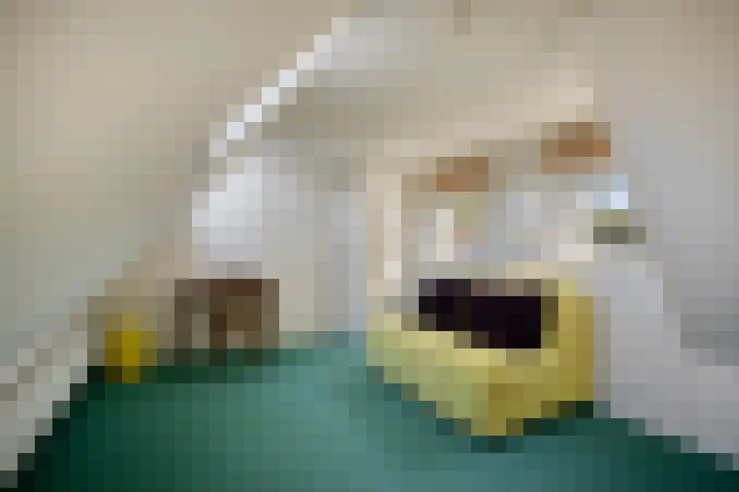 Hoofdweg 19 Elsloo thumbnail 24