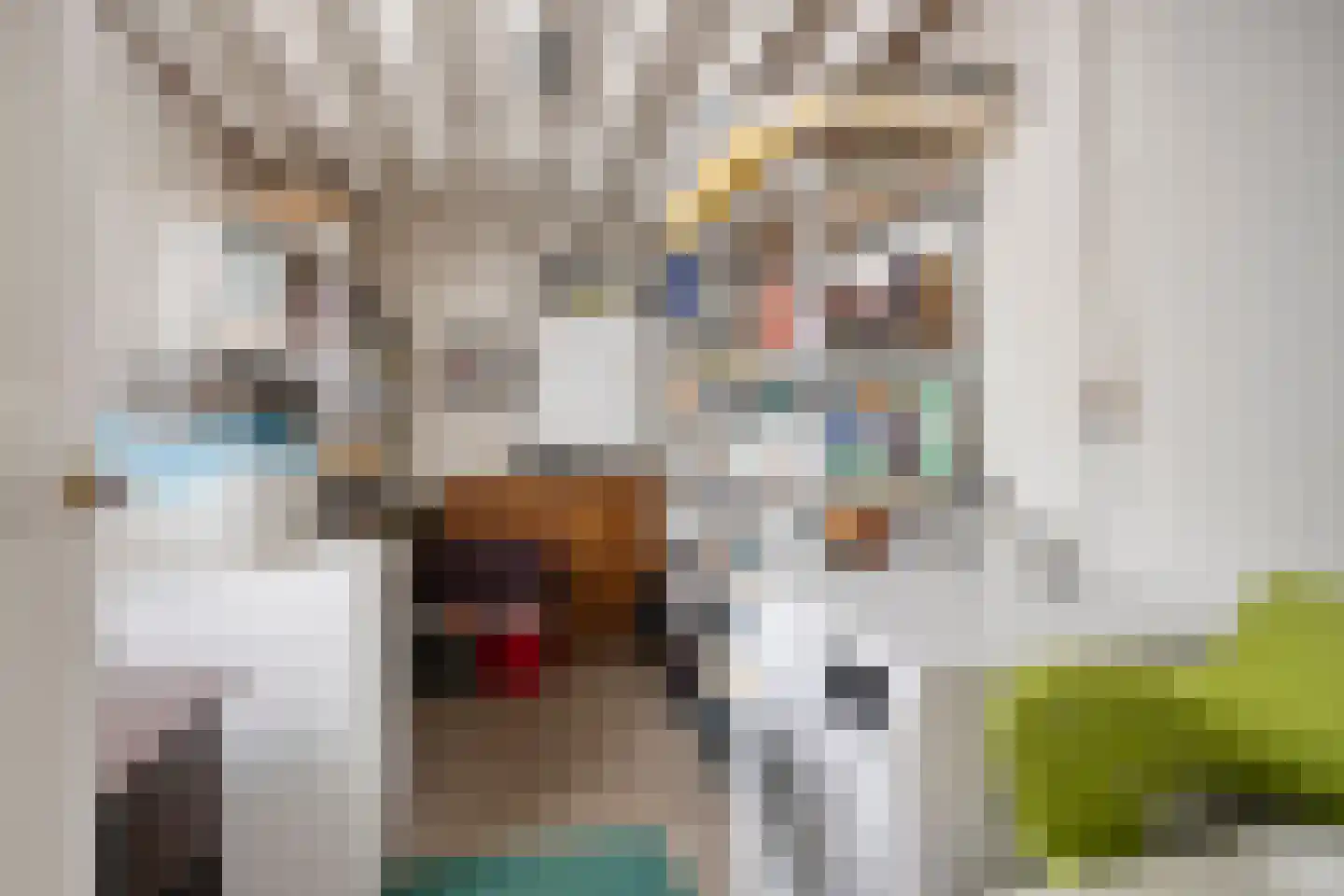 Hoofdweg 19 Elsloo thumbnail 29