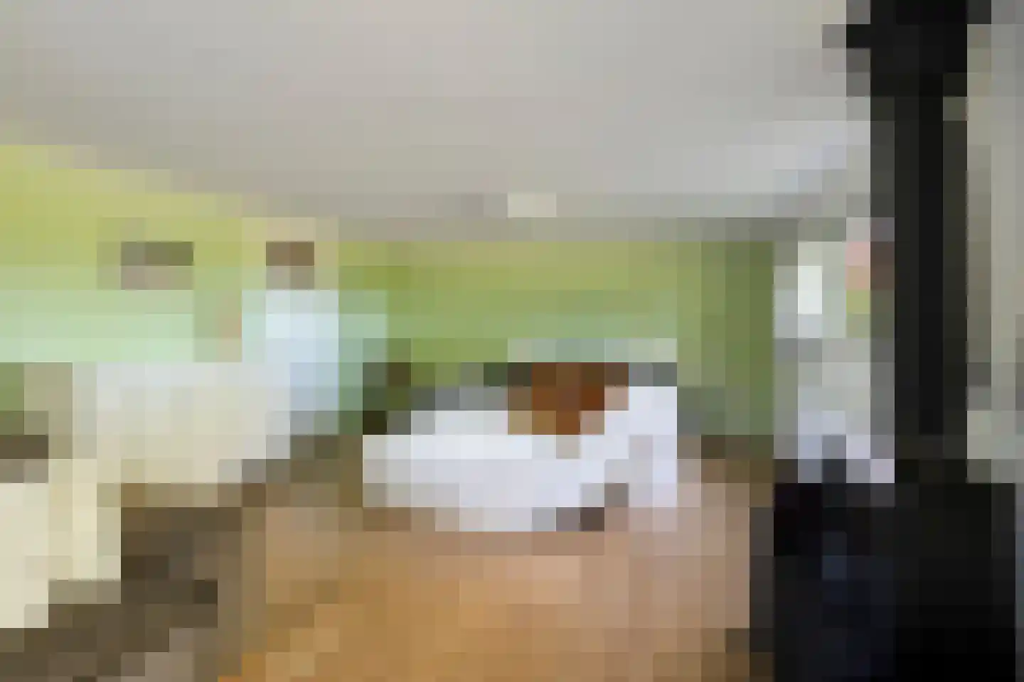 Hoofdweg 19 Elsloo thumbnail 31