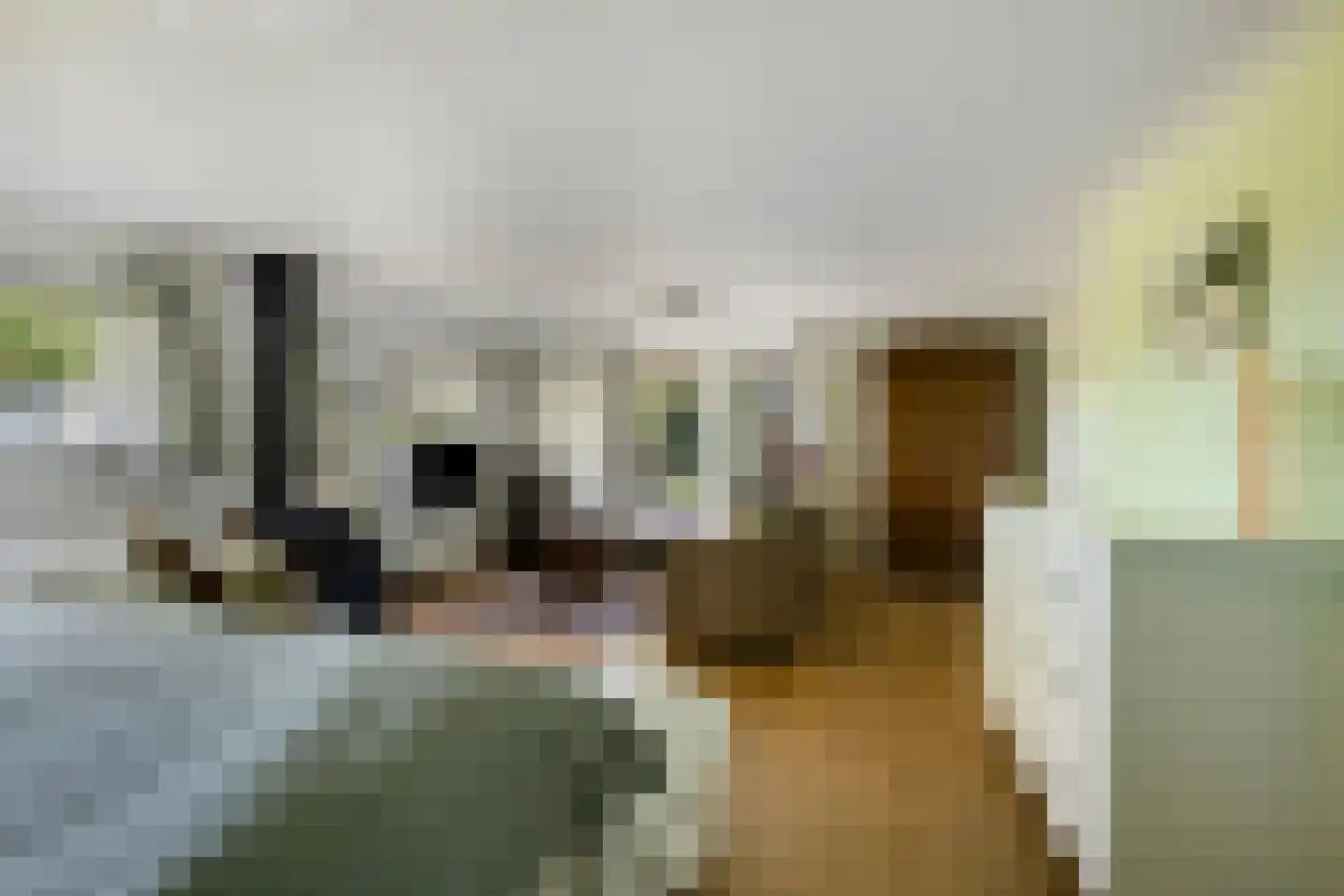 Hoofdweg 19 Elsloo thumbnail 32