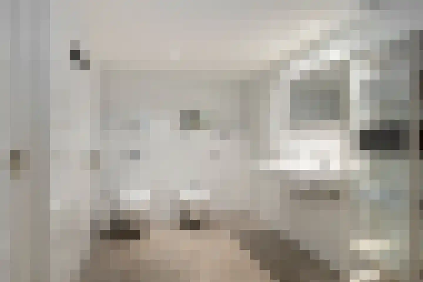 Hoofdweg 19 Elsloo thumbnail 34
