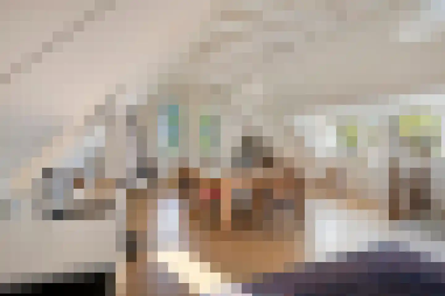 Hoofdweg 19 Elsloo thumbnail 39