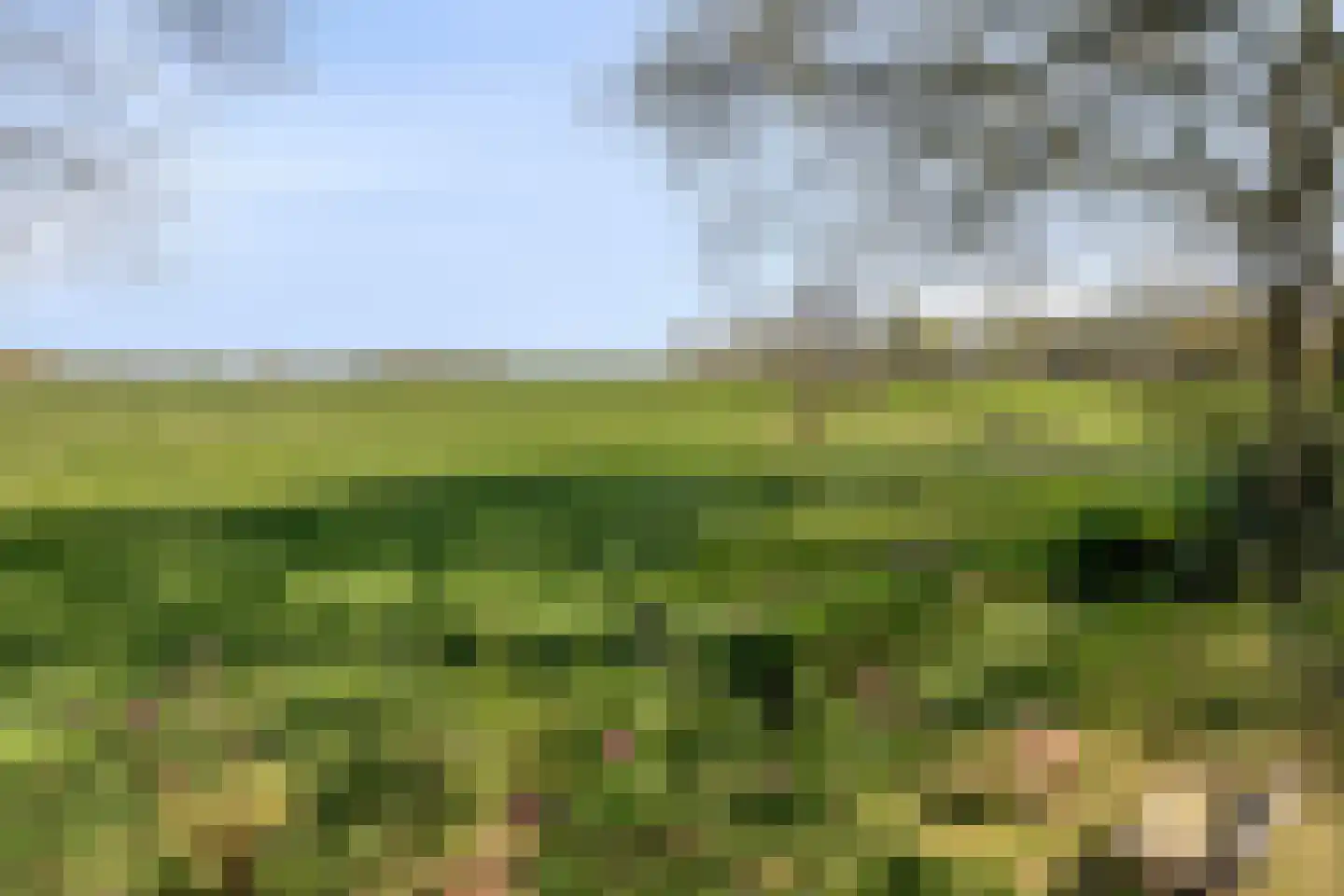 Hoofdweg 19 Elsloo thumbnail 4