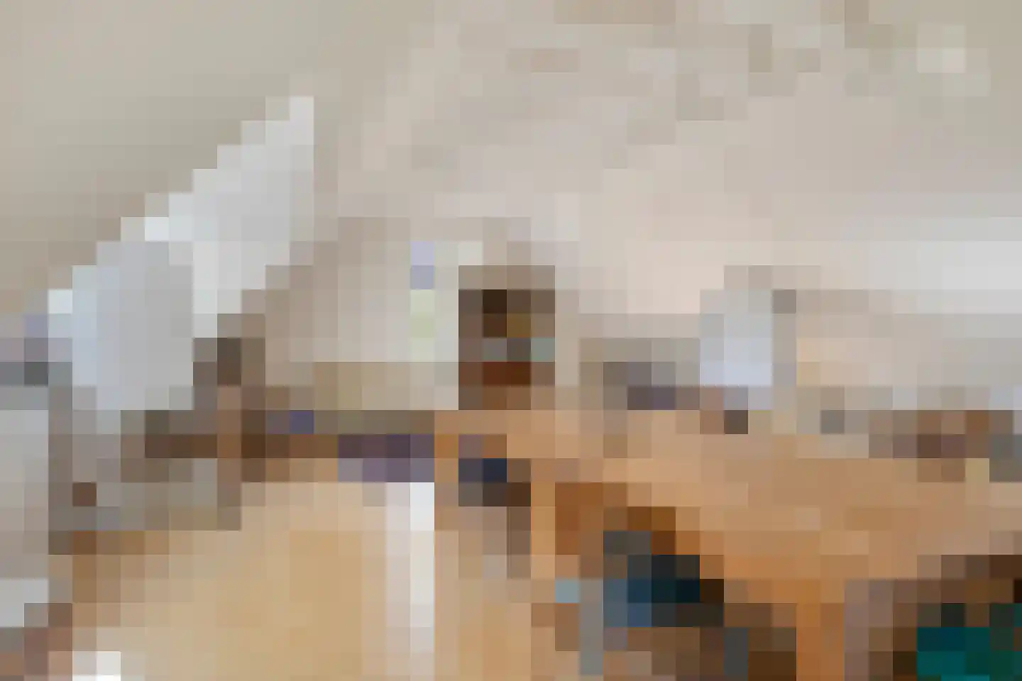 Hoofdweg 19 Elsloo thumbnail 40