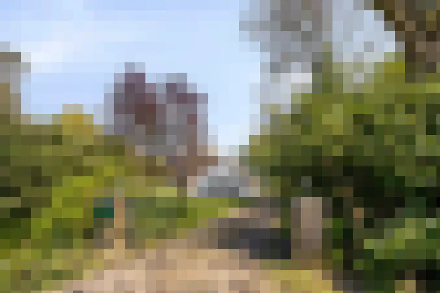 Hoofdweg 19 Elsloo thumbnail 42