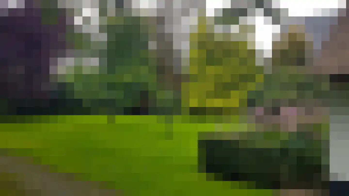 Hoofdweg 19 Elsloo thumbnail 43