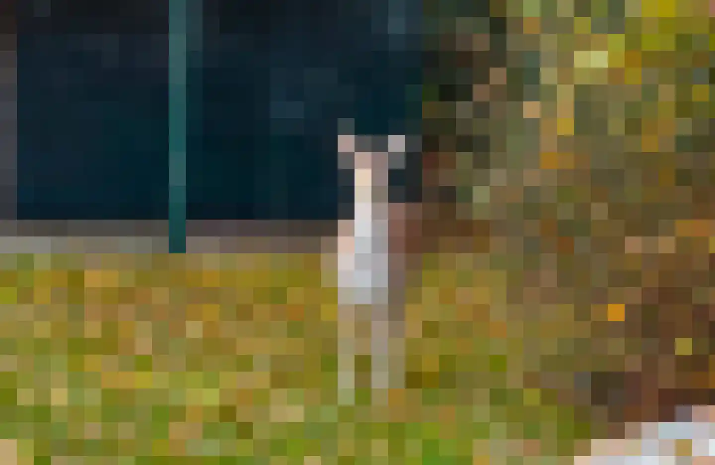 Hoofdweg 19 Elsloo thumbnail 44