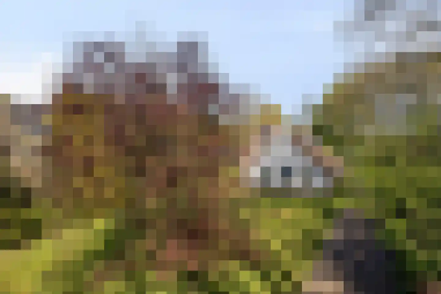 Hoofdweg 19 Elsloo thumbnail 45