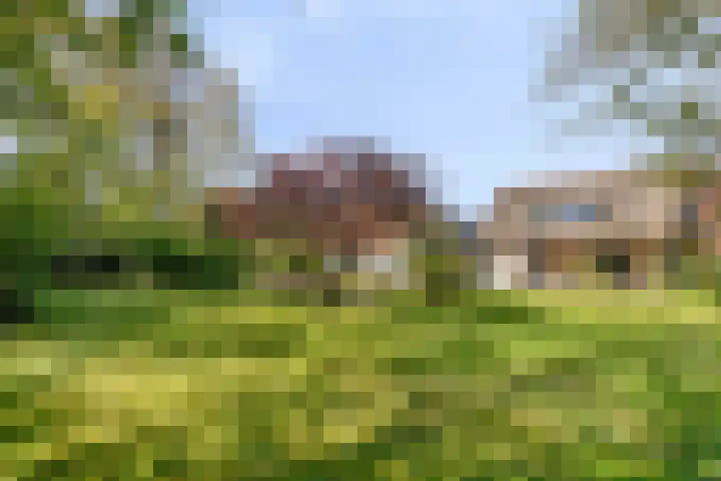 Hoofdweg 19 Elsloo thumbnail 5