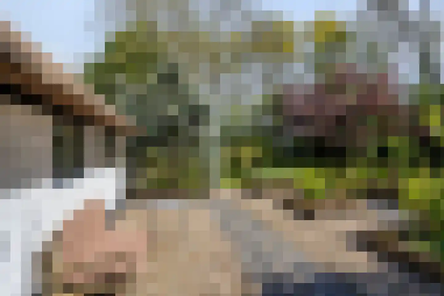 Hoofdweg 19 Elsloo thumbnail 50