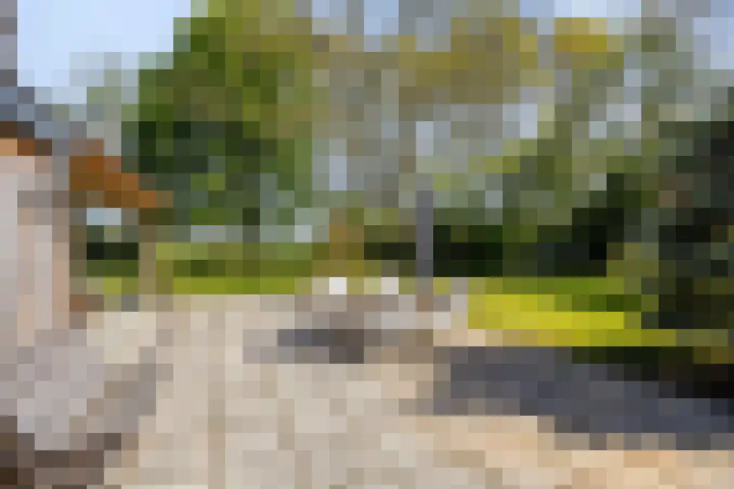 Hoofdweg 19 Elsloo thumbnail 51