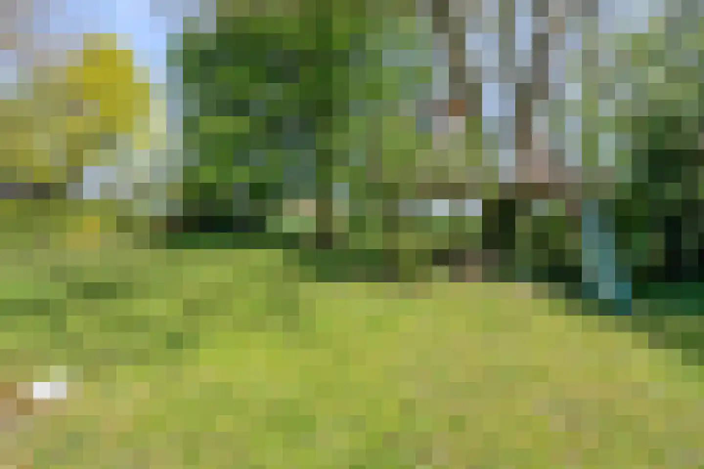 Hoofdweg 19 Elsloo thumbnail 53