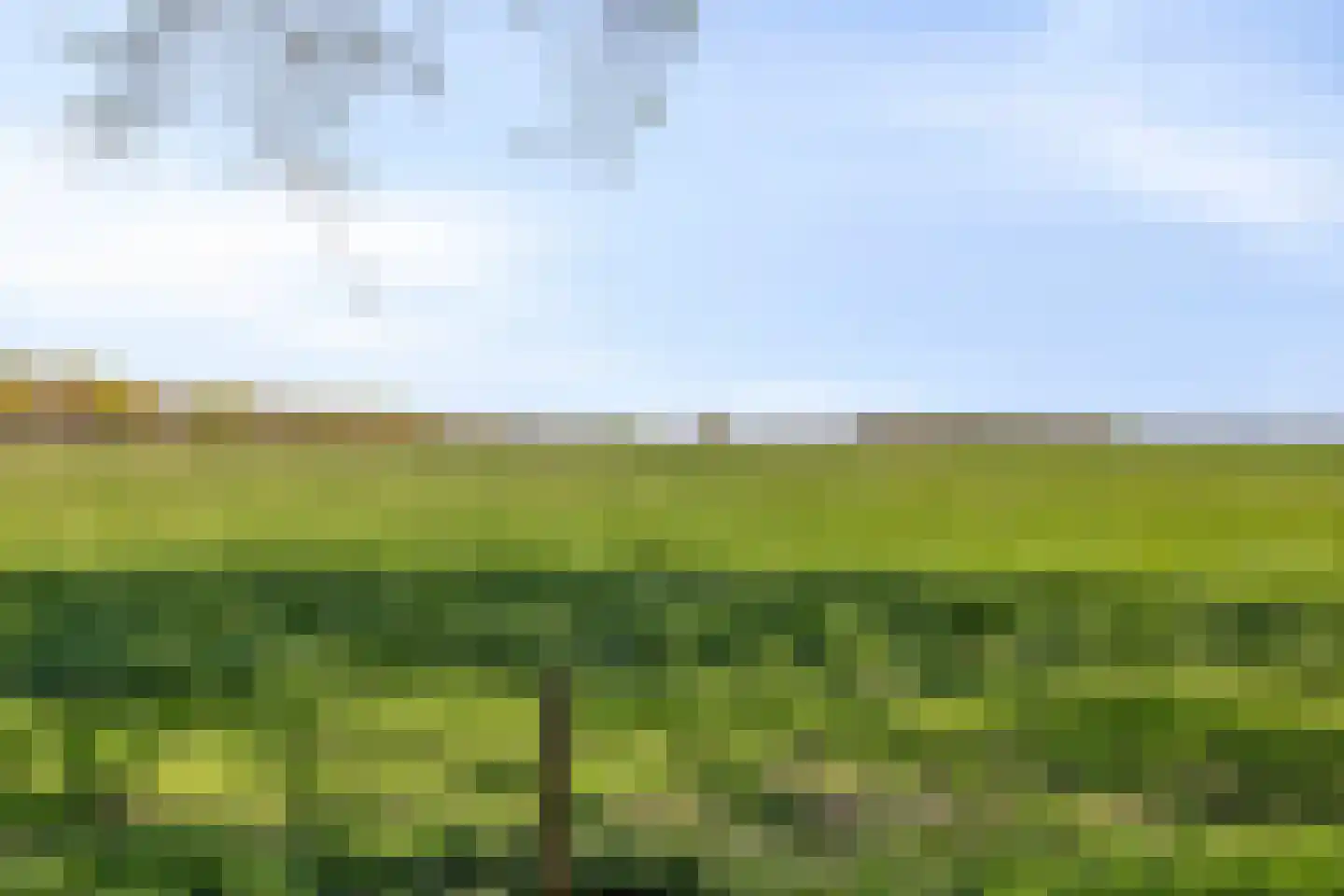 Hoofdweg 19 Elsloo thumbnail 54