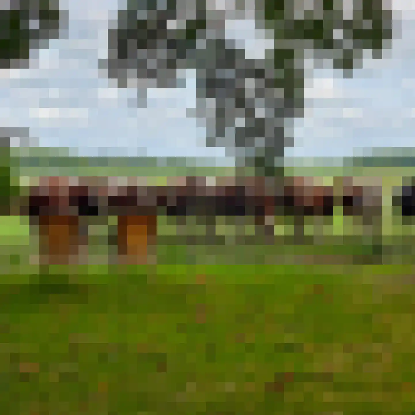 Hoofdweg 19 Elsloo thumbnail 55