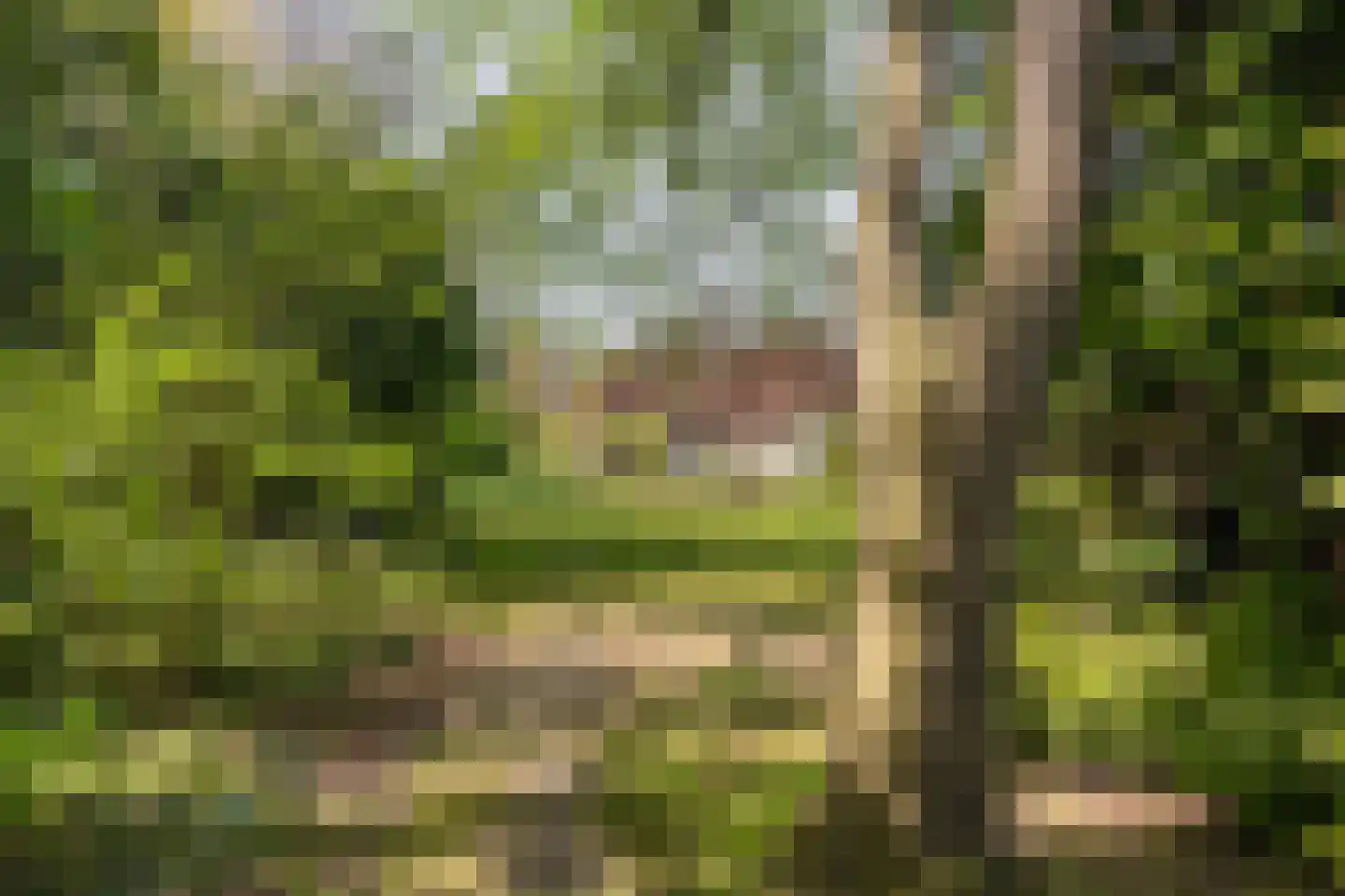 Hoofdweg 19 Elsloo thumbnail 57