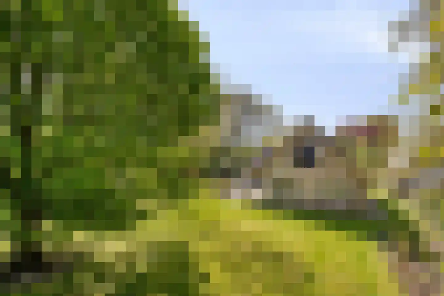 Hoofdweg 19 Elsloo thumbnail 59