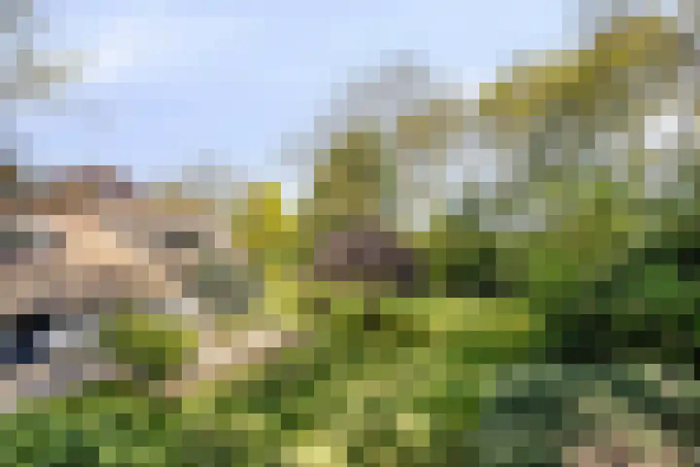 Hoofdweg 19 Elsloo thumbnail 60