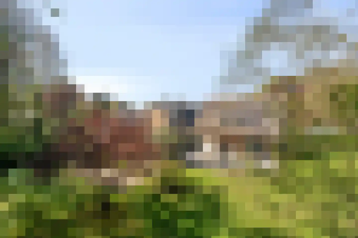 Hoofdweg 19 Elsloo thumbnail 61