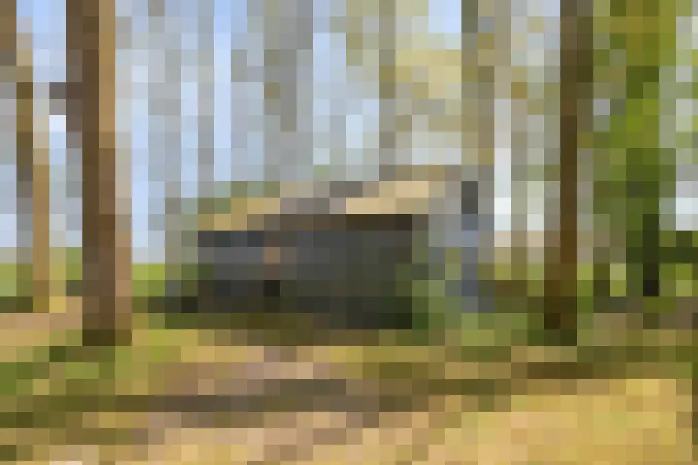Hoofdweg 19 Elsloo thumbnail 64